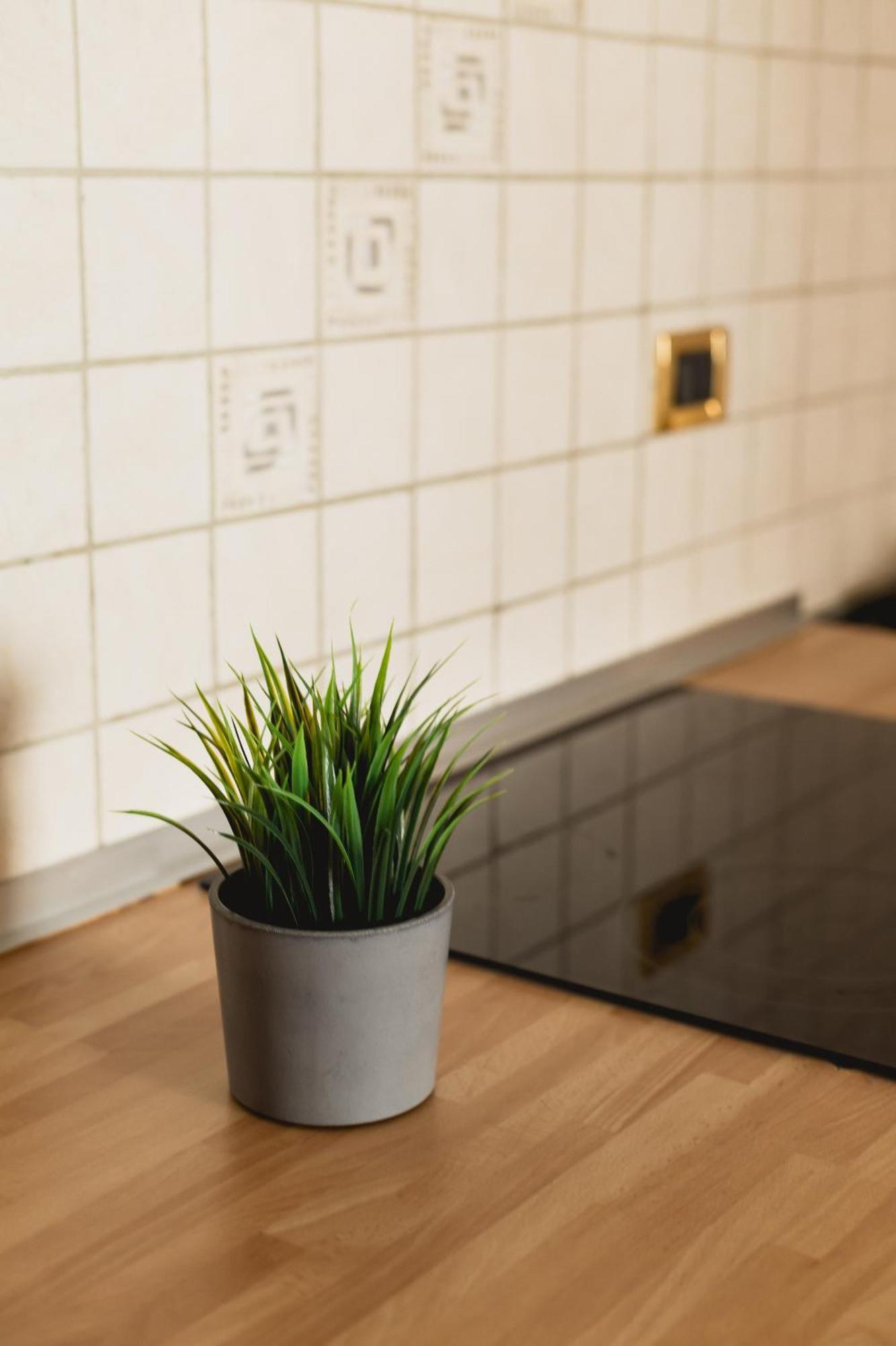 Bergreen Apartments Ossana Dış mekan fotoğraf